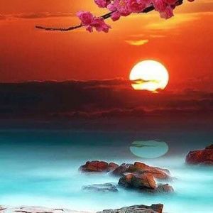 Meet your Posher, Lynn